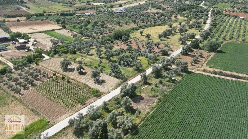 Antika Gayrimenkul'den Işık Köyü Yola Sıfır İki Tapu Tek Fiyat — fotoğraf 14