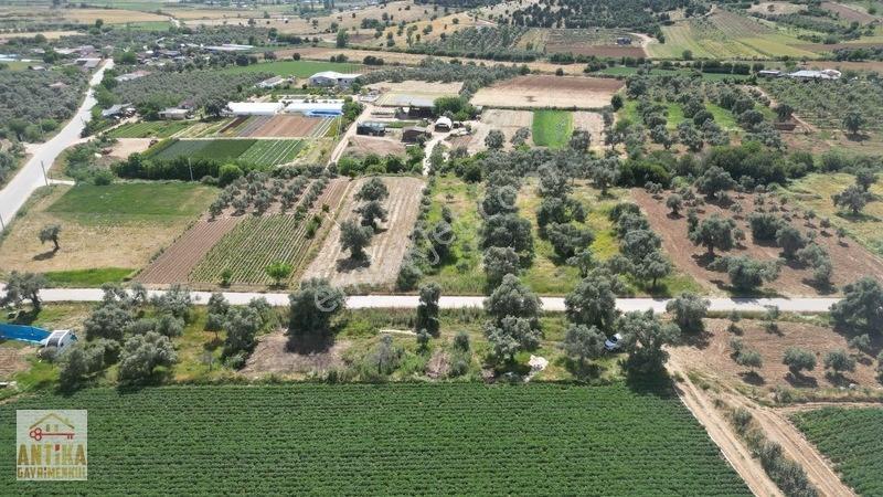 Antika Gayrimenkul'den Işık Köyü Yola Sıfır İki Tapu Tek Fiyat — fotoğraf 15