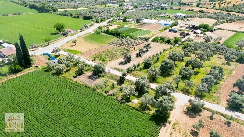 Antika Gayrimenkul'den Işık Köyü Yola Sıfır İki Tapu Tek Fiyat — fotoğraf 16