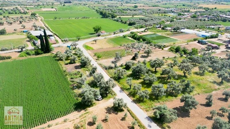 Antika Gayrimenkul'den Işık Köyü Yola Sıfır İki Tapu Tek Fiyat — fotoğraf 17