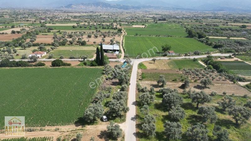 Antika Gayrimenkul'den Işık Köyü Yola Sıfır İki Tapu Tek Fiyat — fotoğraf 18