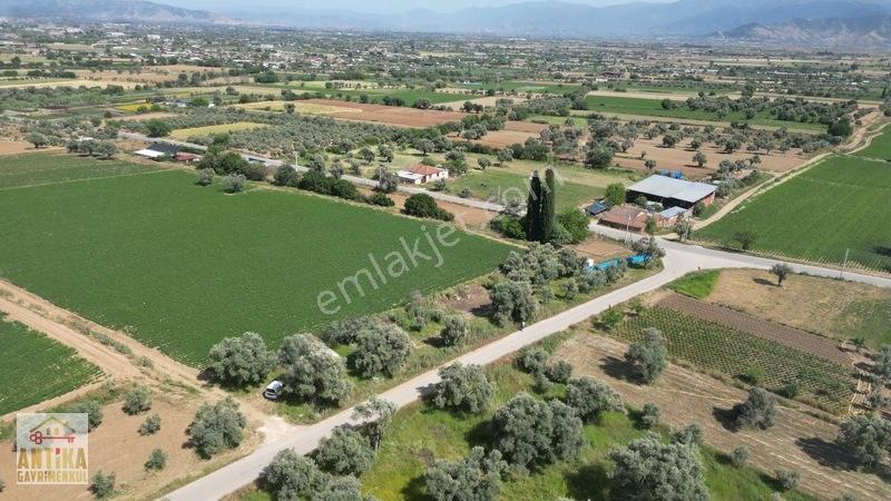 Antika Gayrimenkul'den Işık Köyü Yola Sıfır İki Tapu Tek Fiyat — fotoğraf 19