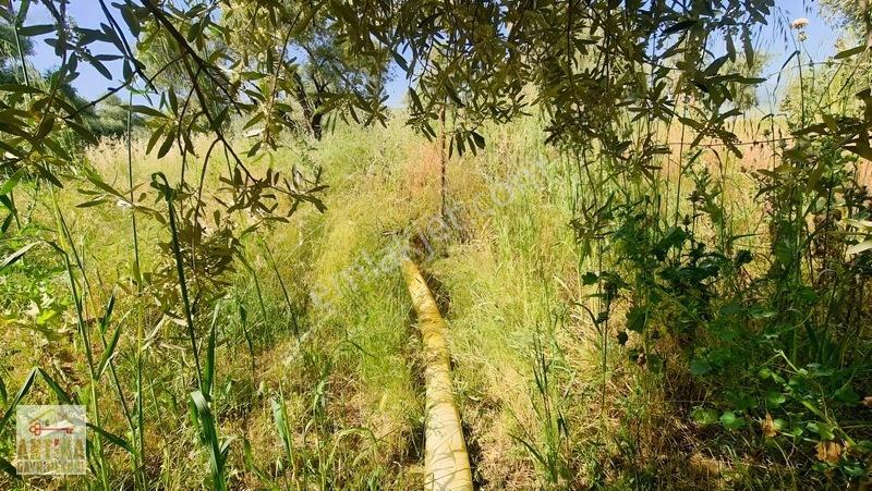 Antika Gayrimenkul'den Işık Köyü Yola Sıfır İki Tapu Tek Fiyat — fotoğraf 20