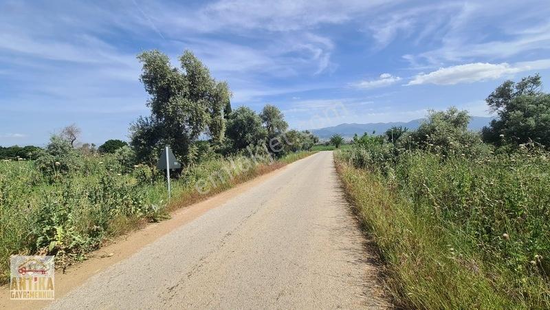 Antika Gayrimenkul'den Işık Köyü Yola Sıfır İki Tapu Tek Fiyat — fotoğraf 22