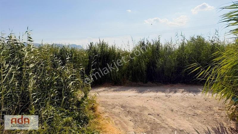 Geyve Merkeze 2 Km, Sanayi Sitesi Yanı 1.385 M² Şeftali Bahçesi — fotoğraf 5