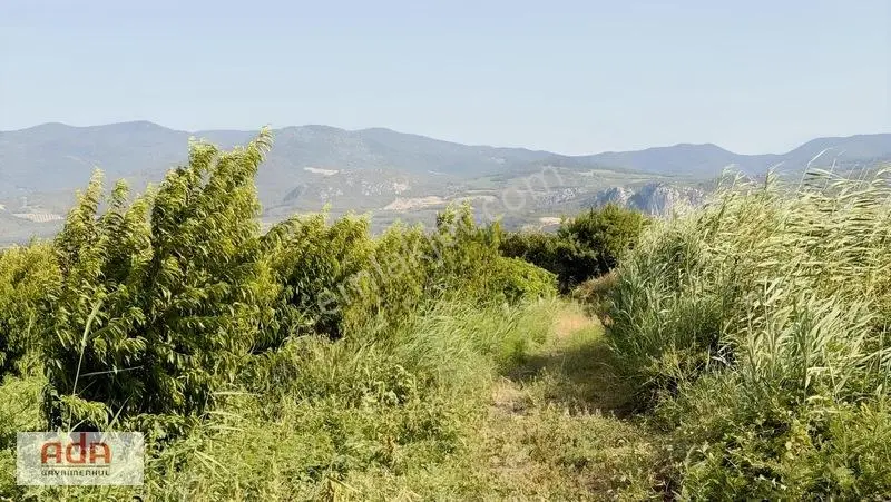 Geyve Merkeze 2 Km, Sanayi Sitesi Yanı 1.385 M² Şeftali Bahçesi — fotoğraf 6