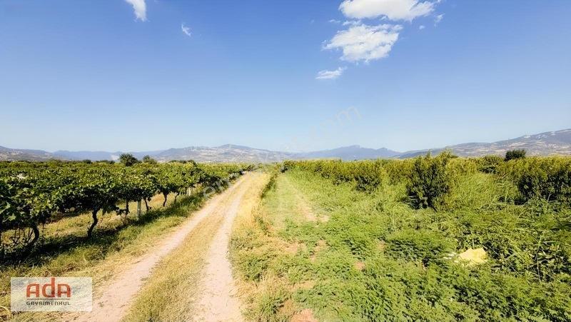 Geyve Merkeze 2 Km, Sanayi Sitesi Yanı 1.385 M² Şeftali Bahçesi — fotoğraf 8