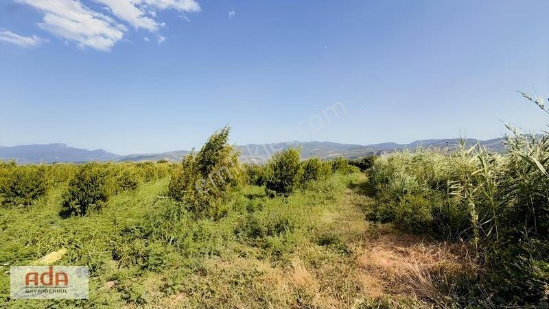 Geyve Merkeze 2 Km, Sanayi Sitesi Yanı 1.385 M² Şeftali Bahçesi — fotoğraf 9