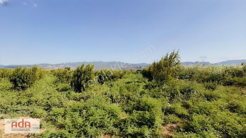 Geyve Merkeze 2 Km, Sanayi Sitesi Yanı 1.385 M² Şeftali Bahçesi — fotoğraf 10