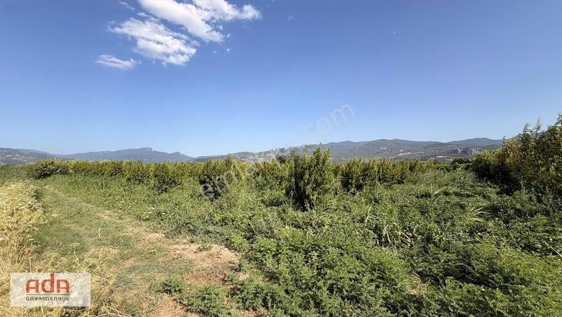 Geyve Merkeze 2 Km, Sanayi Sitesi Yanı 1.385 M² Şeftali Bahçesi — fotoğraf 11