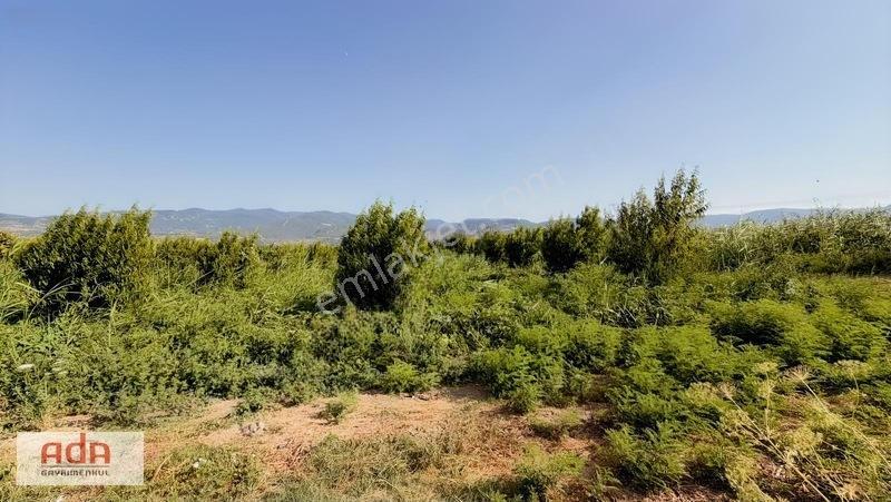 Geyve Merkeze 2 Km, Sanayi Sitesi Yanı 1.385 M² Şeftali Bahçesi — fotoğraf 12