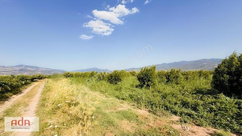 Geyve Merkeze 2 Km, Sanayi Sitesi Yanı 1.385 M² Şeftali Bahçesi — fotoğraf 13