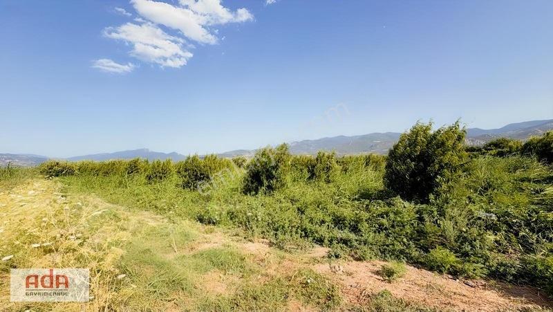 Geyve Merkeze 2 Km, Sanayi Sitesi Yanı 1.385 M² Şeftali Bahçesi — fotoğraf 14