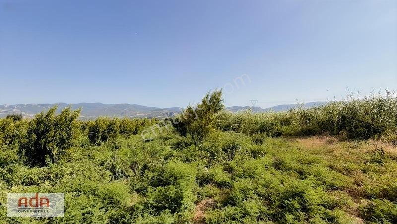 Geyve Merkeze 2 Km, Sanayi Sitesi Yanı 1.385 M² Şeftali Bahçesi — fotoğraf 15