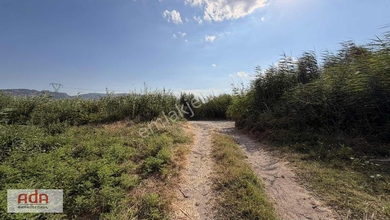 Geyve Merkeze 2 Km, Sanayi Sitesi Yanı 1.385 M² Şeftali Bahçesi — fotoğraf 16
