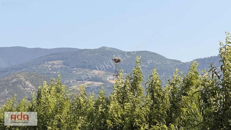Geyve Merkeze 2 Km, Sanayi Sitesi Yanı 1.385 M² Şeftali Bahçesi — fotoğraf 17