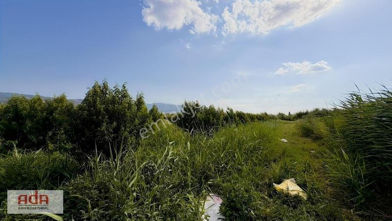 Geyve Merkeze 2 Km, Sanayi Sitesi Yanı 1.385 M² Şeftali Bahçesi — fotoğraf 19