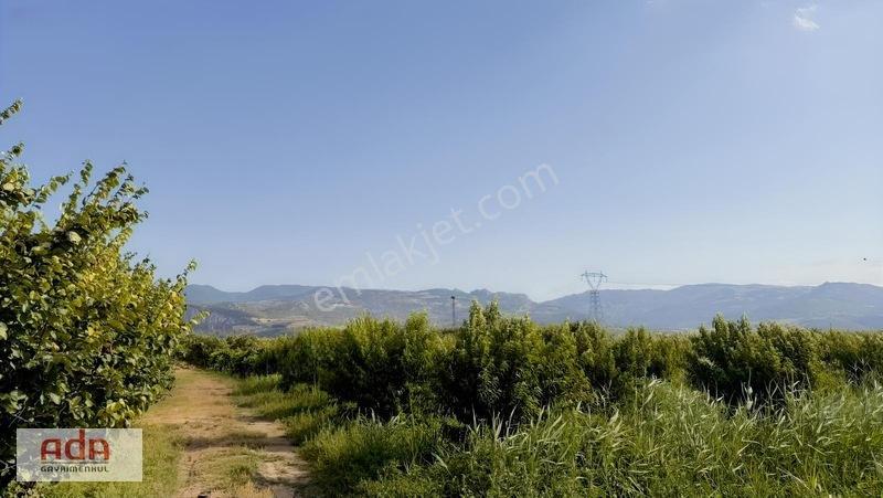 Geyve Merkeze 2 Km, Sanayi Sitesi Yanı 1.385 M² Şeftali Bahçesi — fotoğraf 21