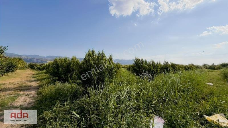 Geyve Merkeze 2 Km, Sanayi Sitesi Yanı 1.385 M² Şeftali Bahçesi — fotoğraf 22