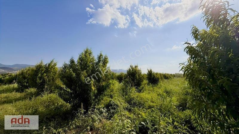 Geyve Merkeze 2 Km, Sanayi Sitesi Yanı 1.385 M² Şeftali Bahçesi — fotoğraf 23