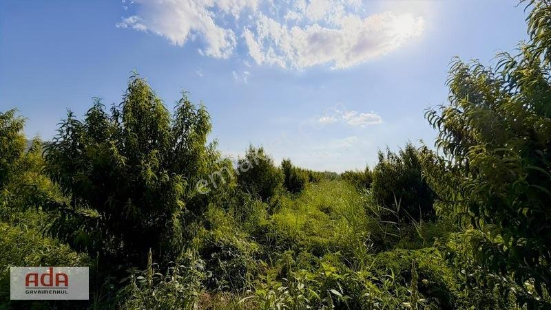 Geyve Merkeze 2 Km, Sanayi Sitesi Yanı 1.385 M² Şeftali Bahçesi — fotoğraf 31