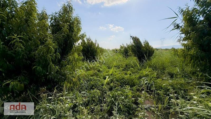 Geyve Merkeze 2 Km, Sanayi Sitesi Yanı 1.385 M² Şeftali Bahçesi — fotoğraf 32