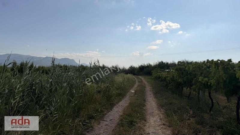 Geyve Merkeze 2 Km, Sanayi Sitesi Yanı 1.385 M² Şeftali Bahçesi — fotoğraf 33