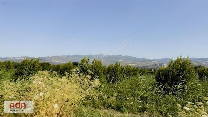 Geyve Merkeze 2 Km, Sanayi Sitesi Yanı 1.385 M² Şeftali Bahçesi — fotoğraf 35