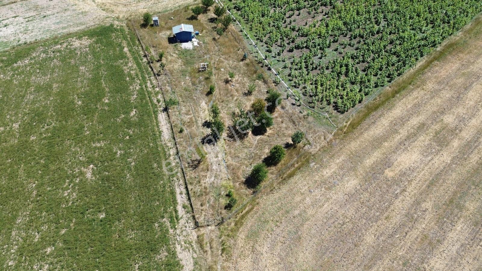 C.k Mimarlık Gayrimenkul'den Tek Tapu Tarla — fotoğraf 7