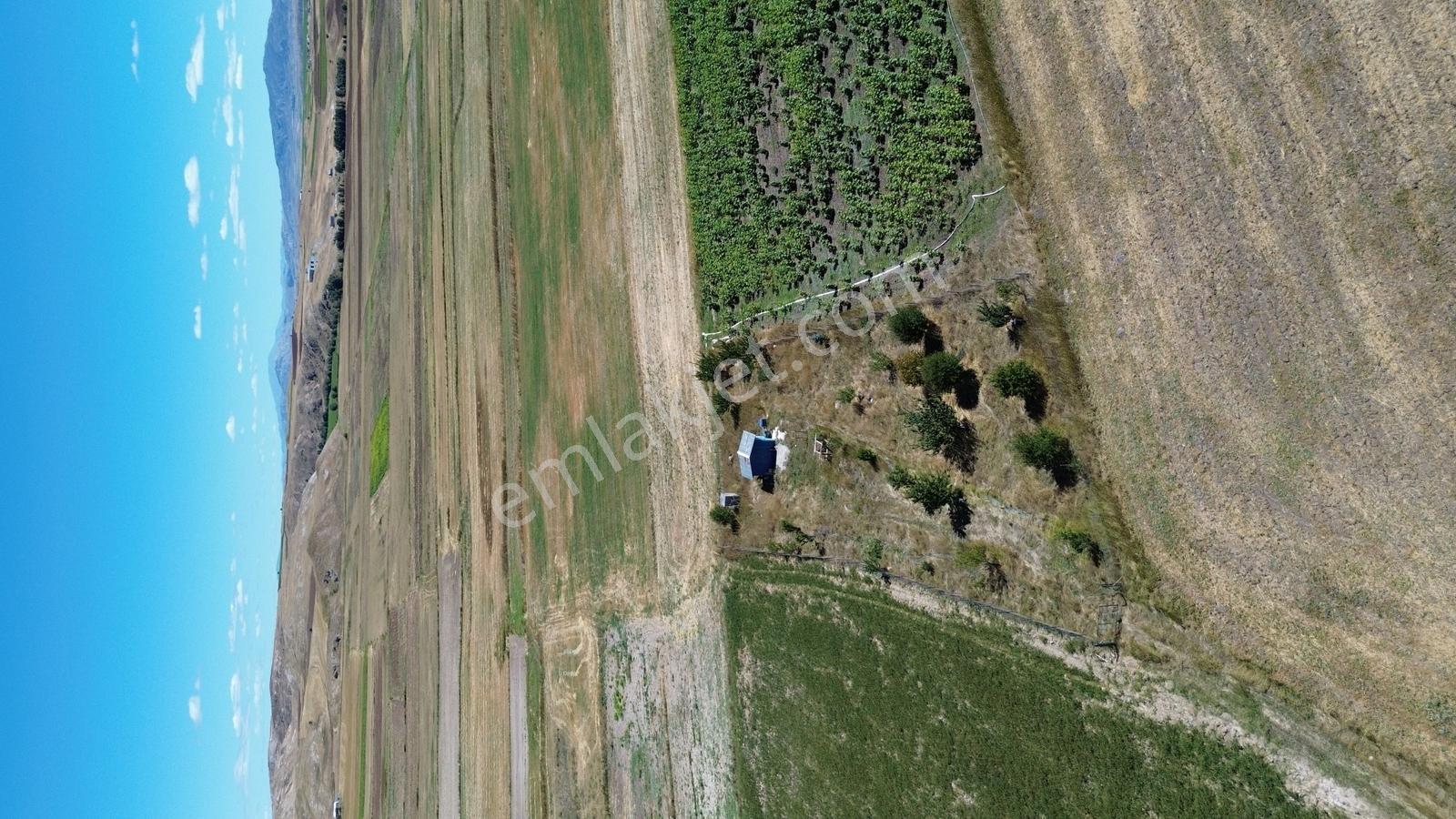 C.k Mimarlık Gayrimenkul'den Tek Tapu Tarla — fotoğraf 8