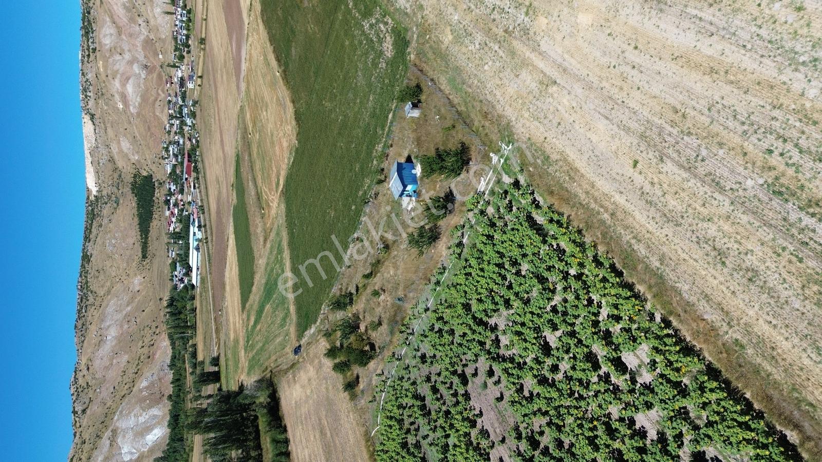 C.k Mimarlık Gayrimenkul'den Tek Tapu Tarla — fotoğraf 9