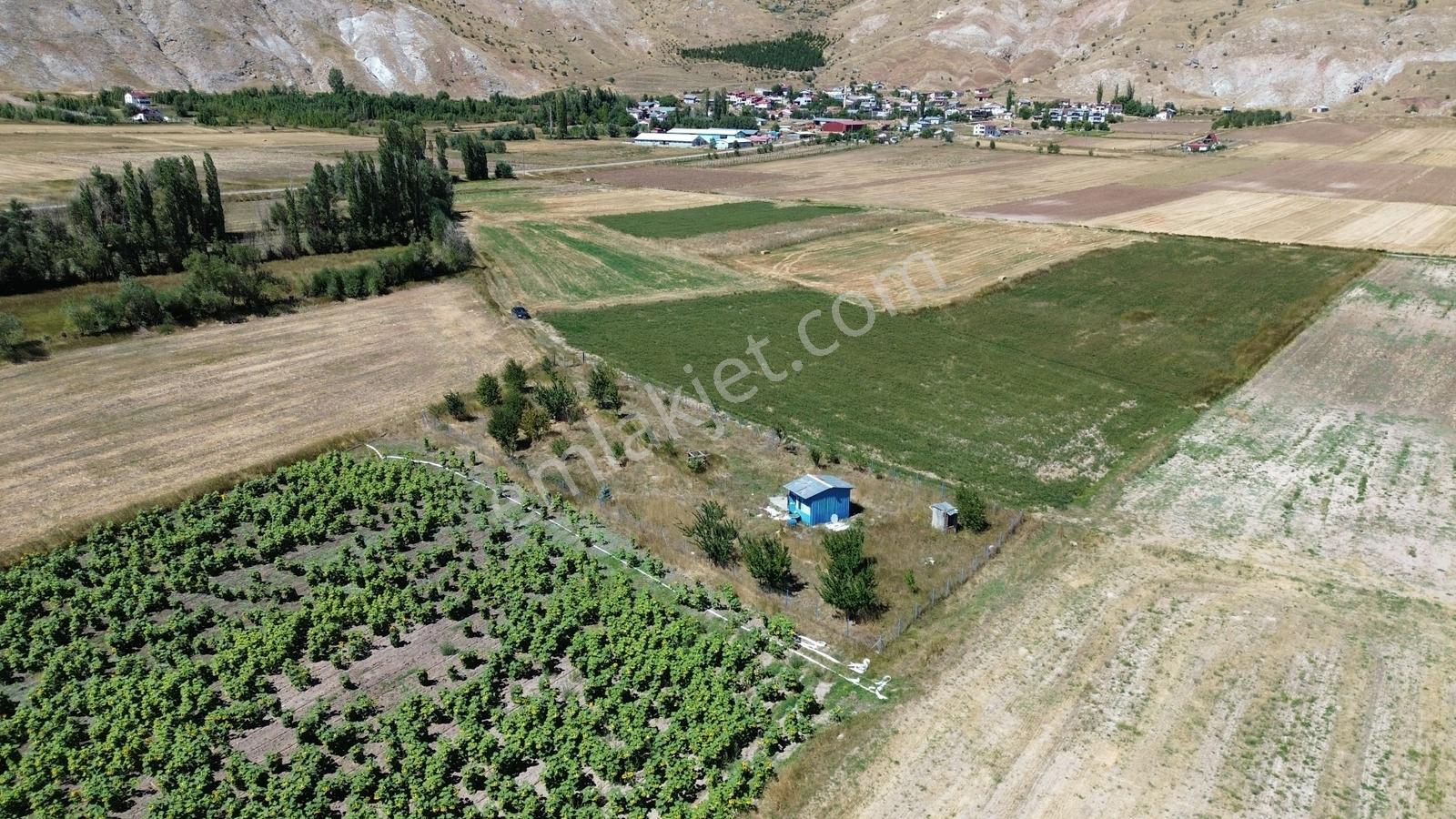 C.k Mimarlık Gayrimenkul'den Tek Tapu Tarla — fotoğraf 10