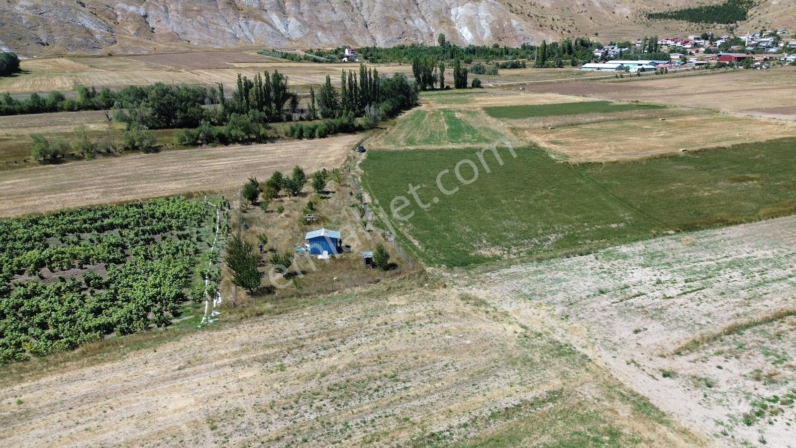 C.k Mimarlık Gayrimenkul'den Tek Tapu Tarla — fotoğraf 11