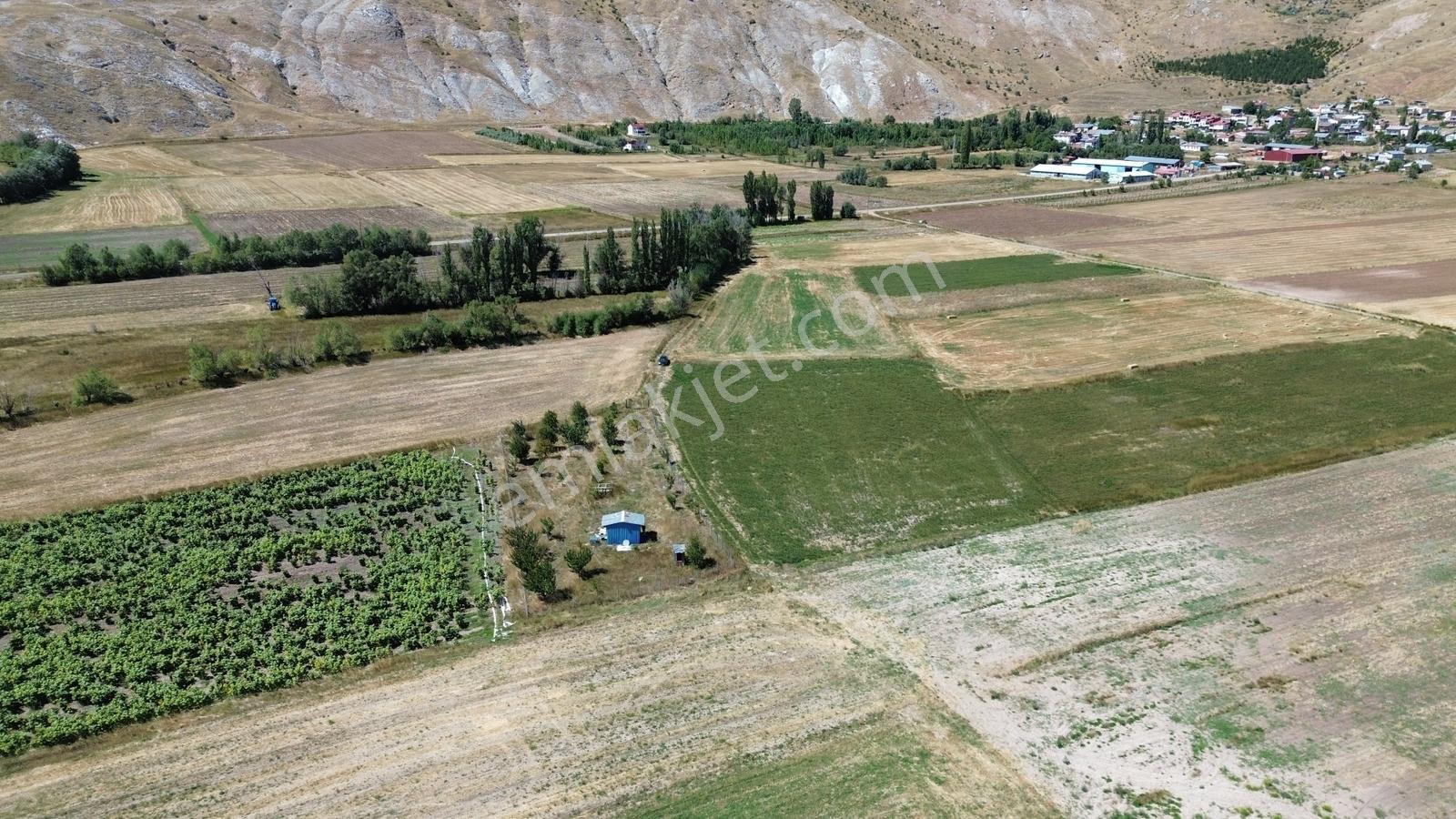 C.k Mimarlık Gayrimenkul'den Tek Tapu Tarla — fotoğraf 13