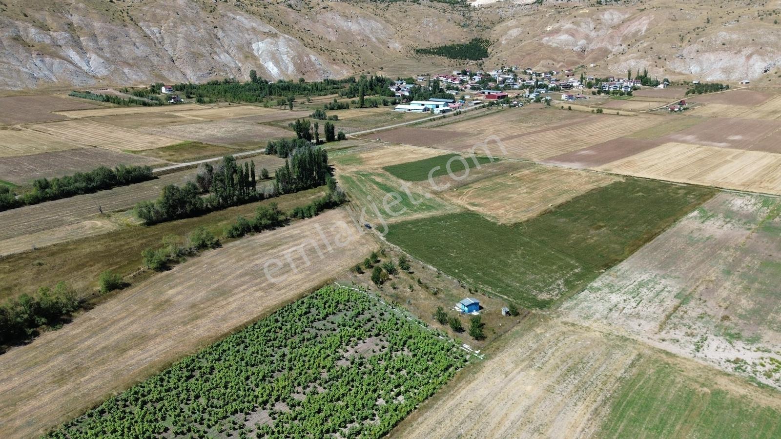 C.k Mimarlık Gayrimenkul'den Tek Tapu Tarla — fotoğraf 14