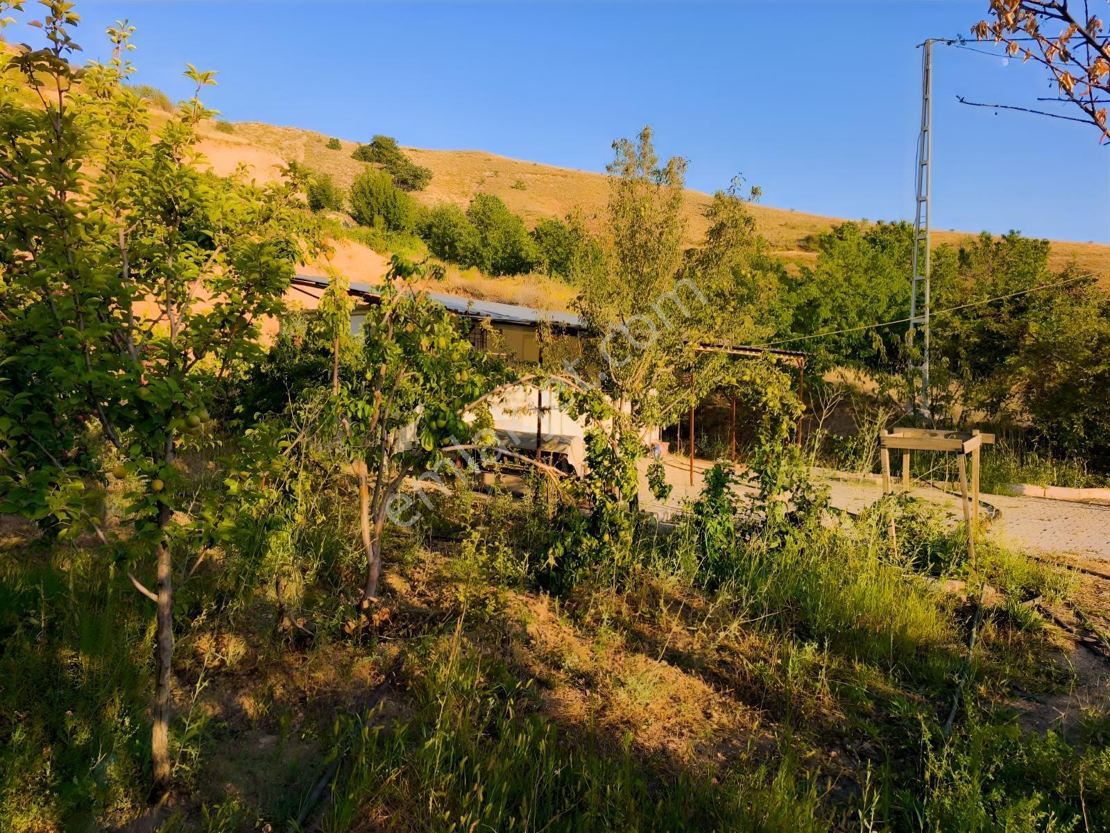 Pex Anka'dan Mollakasımda Yatırımlıkfırsat 575m² Villalıkarsalar — fotoğraf 10