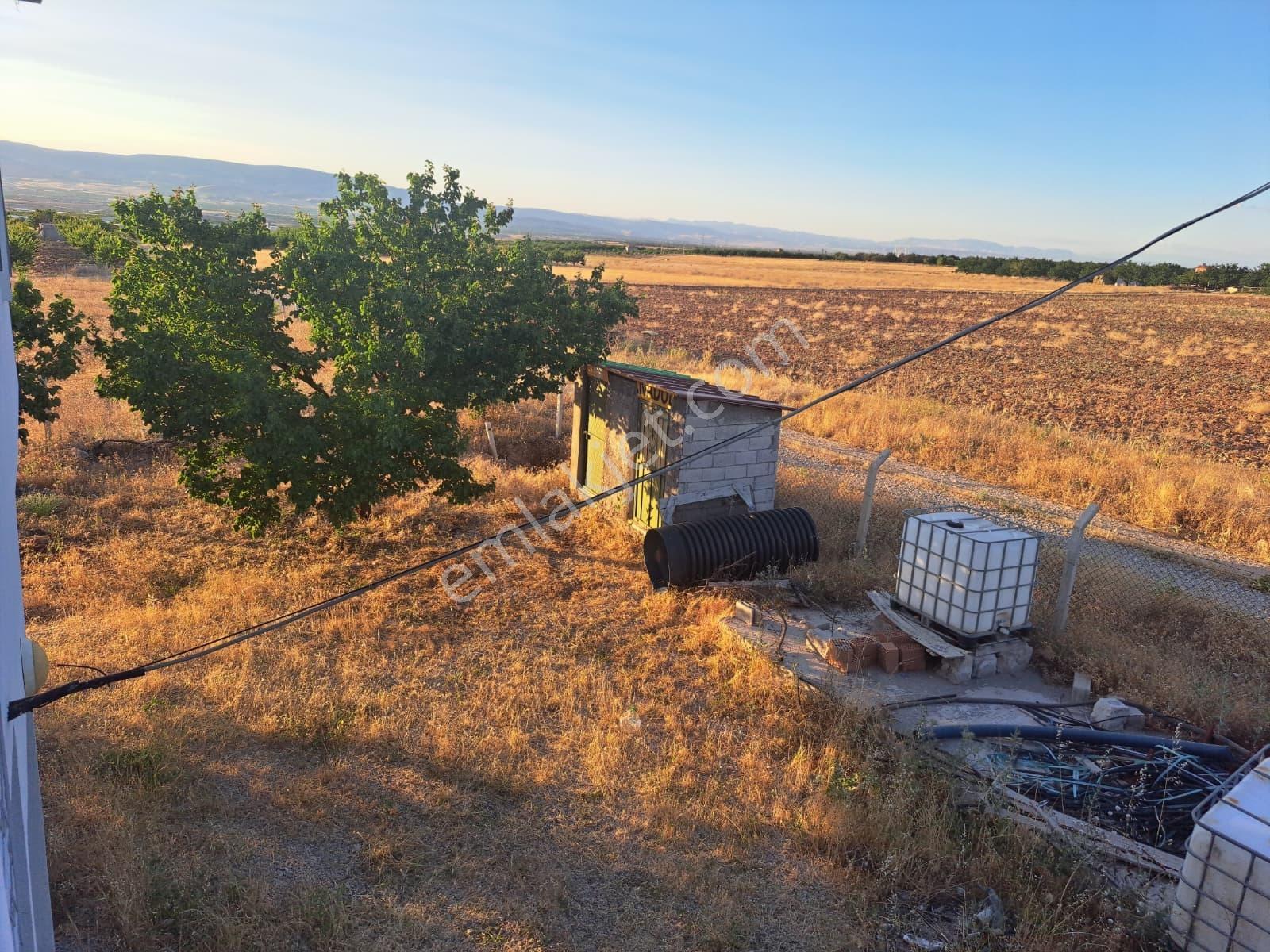 Yatırım Fırsatı! Karapınar Köyünde Sıfır Ev Ve Kayısı Bahçesi — fotoğraf 16