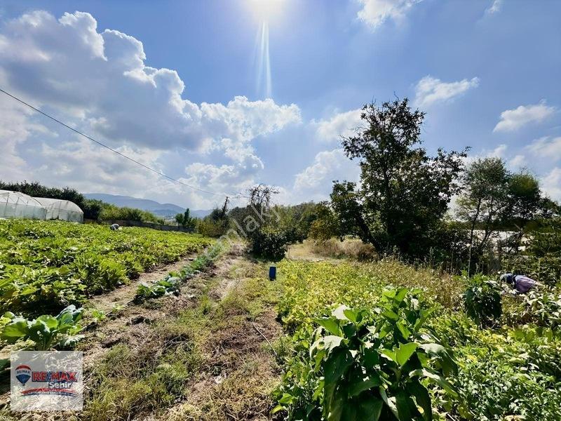 Re/max'dan Yalova Merkez Kazımıye Köyü'nde Satılık Parseller — fotoğraf 2