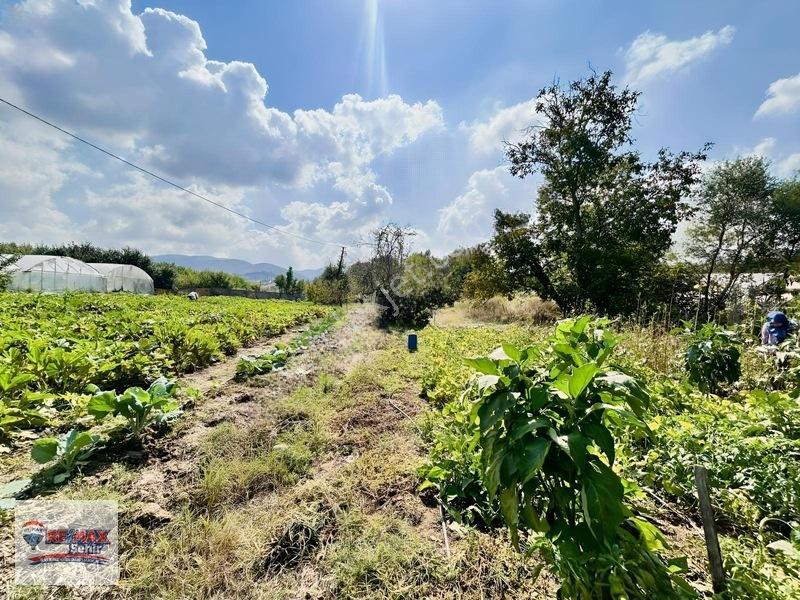 Re/max'dan Yalova Merkez Kazımıye Köyü'nde Satılık Parseller — fotoğraf 3