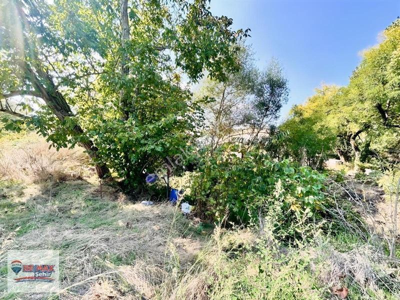Re/max'dan Yalova Merkez Kazımıye Köyü'nde Satılık Parseller — fotoğraf 4