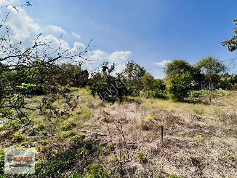 Re/max'dan Yalova Merkez Kazımıye Köyü'nde Satılık Parseller — fotoğraf 7