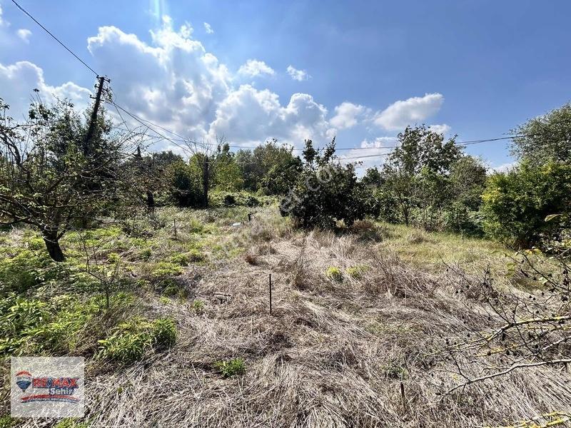 Re/max'dan Yalova Merkez Kazımıye Köyü'nde Satılık Parseller — fotoğraf 9