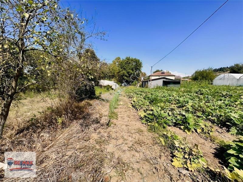 Re/max'dan Yalova Merkez Kazımıye Köyü'nde Satılık Parseller — fotoğraf 10