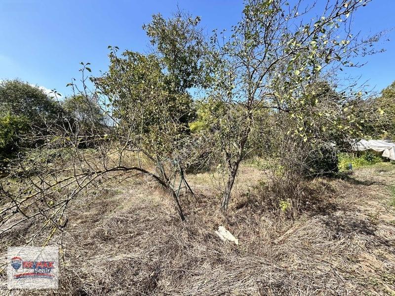 Re/max'dan Yalova Merkez Kazımıye Köyü'nde Satılık Parseller — fotoğraf 11
