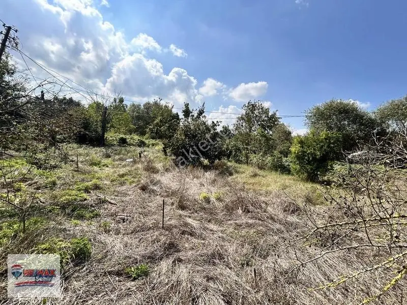 Re/max'dan Yalova Merkez Kazımıye Köyü'nde Satılık Parseller — fotoğraf 13