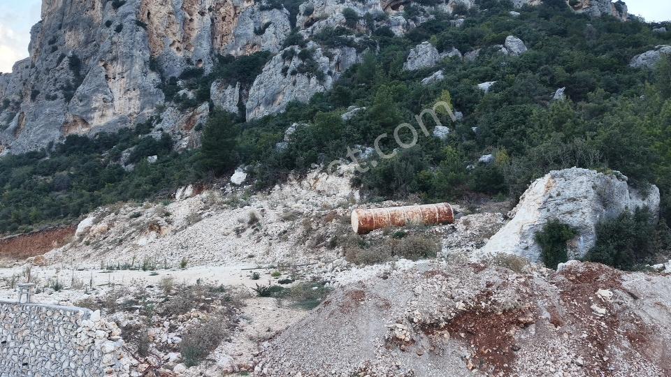 Aslanlıda 500 M² Tapulu Arsa | İsteğe Göre Villa & Tıny House — fotoğraf 4