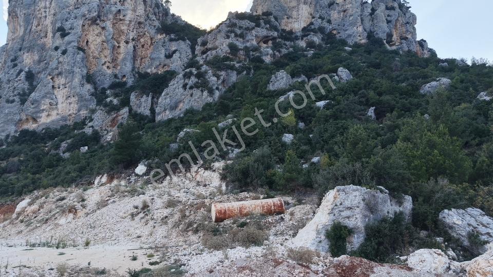 Aslanlıda 500 M² Tapulu Arsa | İsteğe Göre Villa & Tıny House — fotoğraf 5