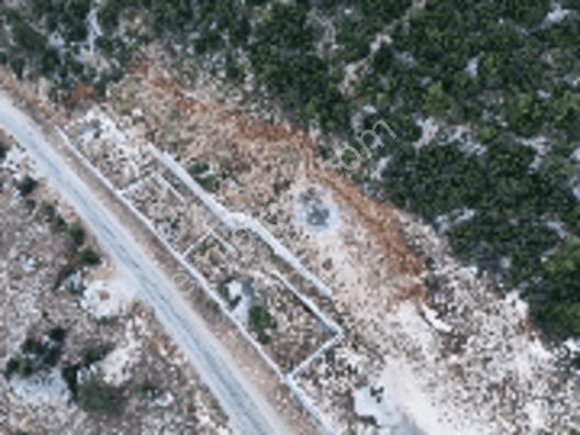 Aslanlıda 500 M² Tapulu Arsa | İsteğe Göre Villa & Tıny House — fotoğraf 6