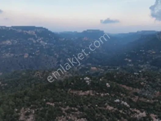 Aslanlıda 500 M² Tapulu Arsa | İsteğe Göre Villa & Tıny House — fotoğraf 8