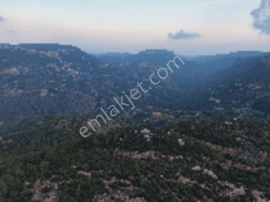 Aslanlıda 500 M² Tapulu Arsa | İsteğe Göre Villa & Tıny House — fotoğraf 9